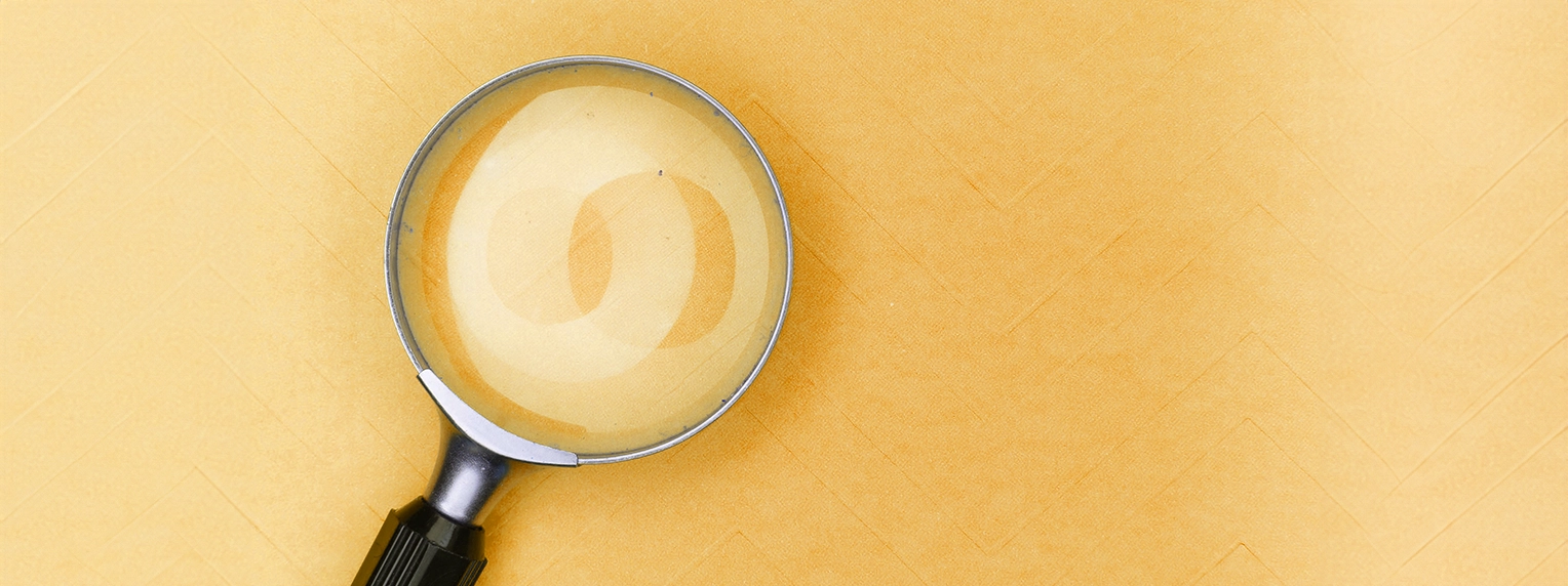 banner directorio capacitadoras